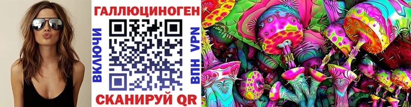 kraken tor  Дивногорск  Псилоцибиновые грибы Psilocybe 