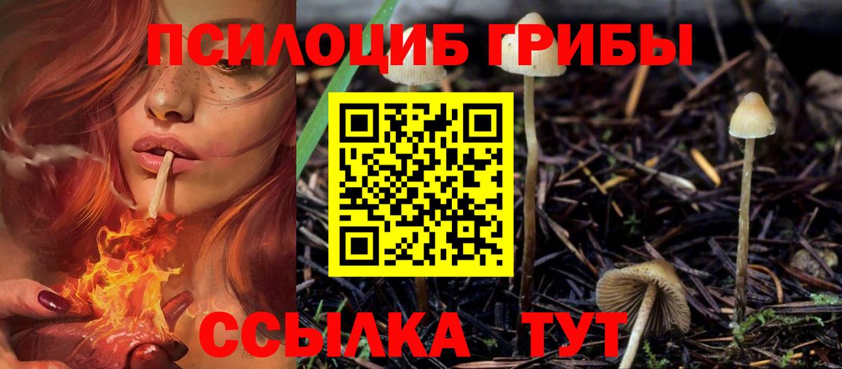 Галлюциногенные грибы Magic Shrooms  Дивногорск 