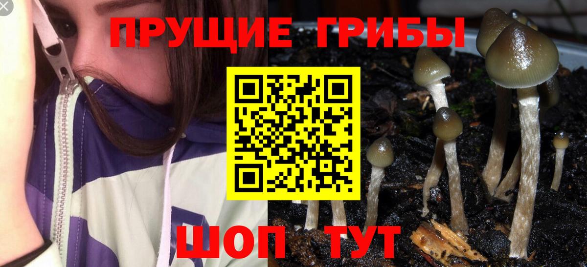Дивногорск  Галлюциногенные грибы прущие грибы  хочу наркоту  Вход с VPN 