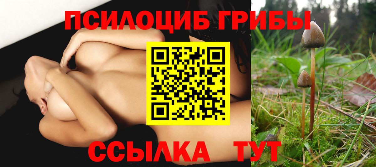 Псилоцибиновые грибы Psilocybine cubensis Дивногорск